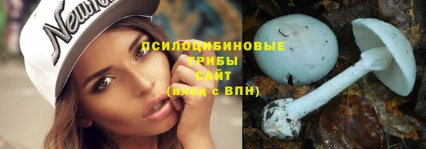 ешки Новокубанск