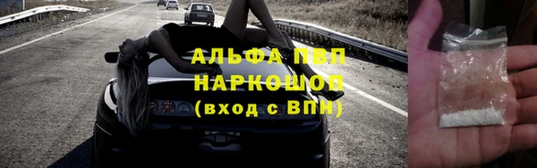 стафф Новозыбков
