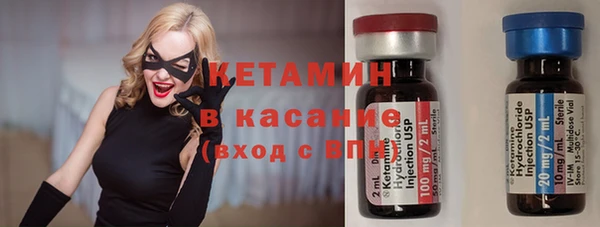 стафф Новозыбков