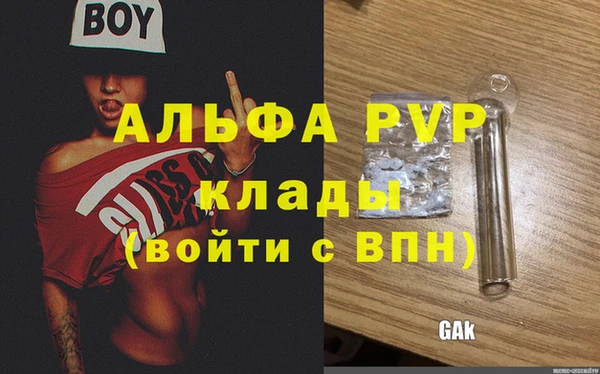 стафф Новозыбков