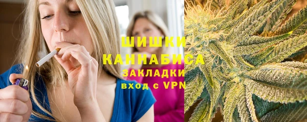 стафф Новозыбков