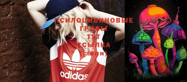 ешки Новокубанск