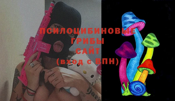 гидропоника Новодвинск