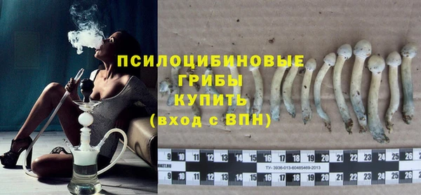 стафф Новозыбков