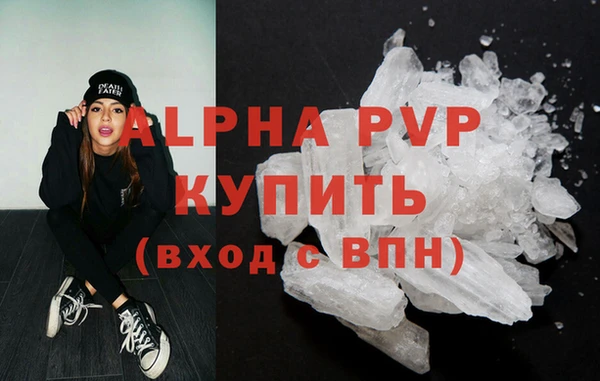 стафф Новозыбков