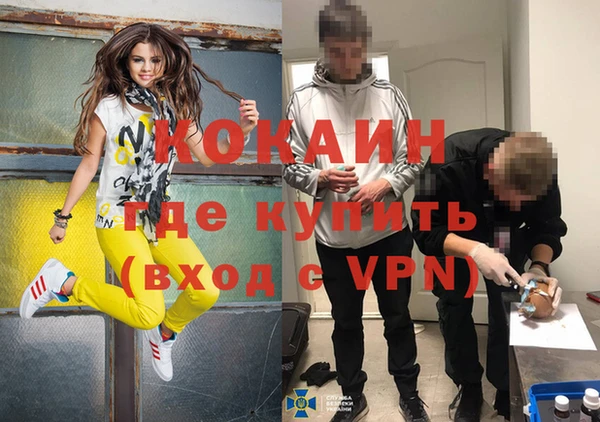 стафф Новозыбков