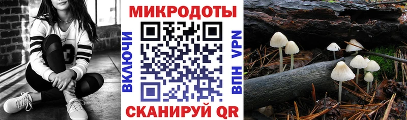 Псилоцибиновые грибы MAGIC MUSHROOMS  Купить  Пыть-Ях 