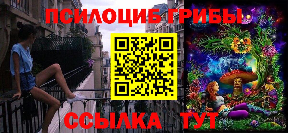 Пыть-Ях  Псилоцибиновые грибы MAGIC MUSHROOMS  Вход с VPN  Псилоцибиновые грибы MAGIC MUSHROOMS 