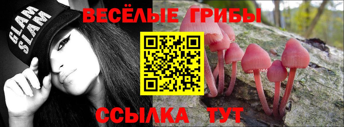 Псилоцибиновые грибы ЛСД Пыть-Ях