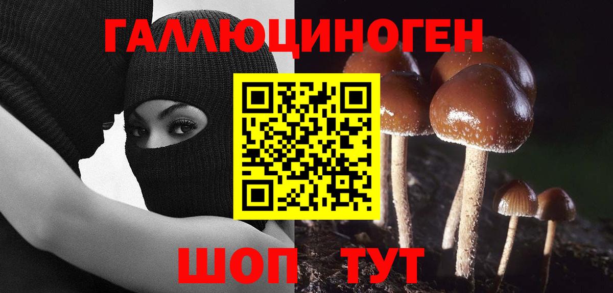 Псилоцибиновые грибы GOLDEN TEACHER Пыть-Ях