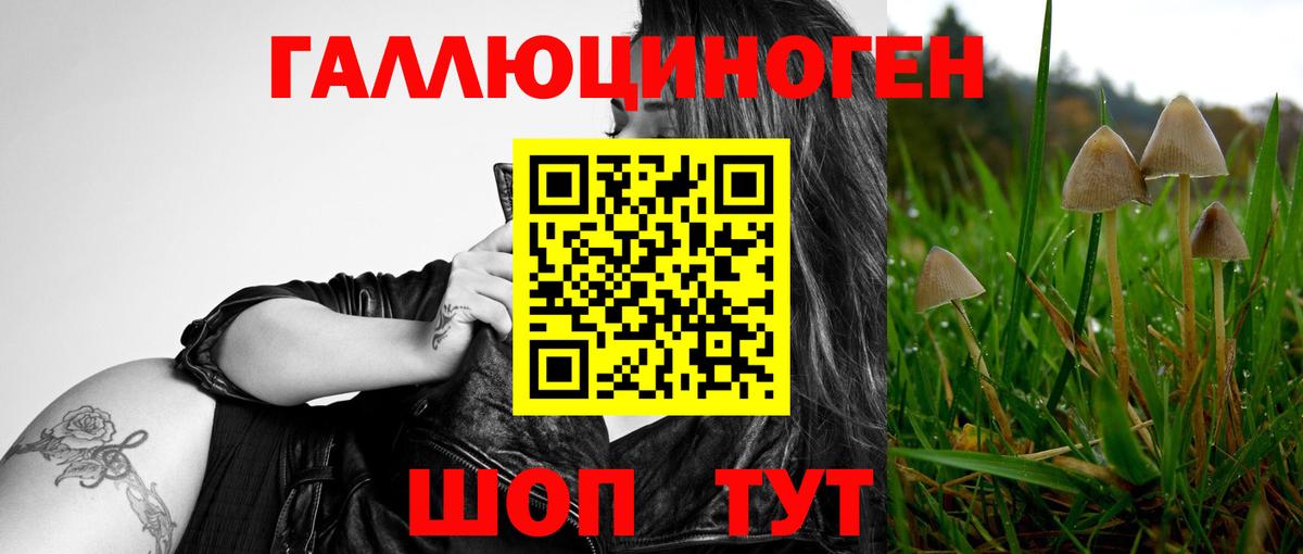 купить закладку  Пыть-Ях  Псилоцибиновые грибы ЛСД 